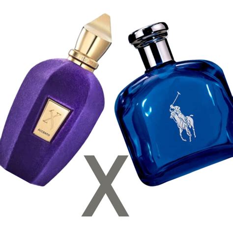 O Que S O Perfumes Contratipos Ou Inspirados Descubra Diferen As E