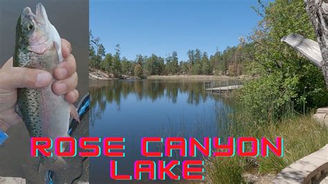 Rose Canyon Lake Az Mount Lemmon Trout Fishing Youtube