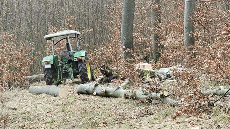 Hessen Th Ringen J Hriger Bei Forstunfall Verletzt