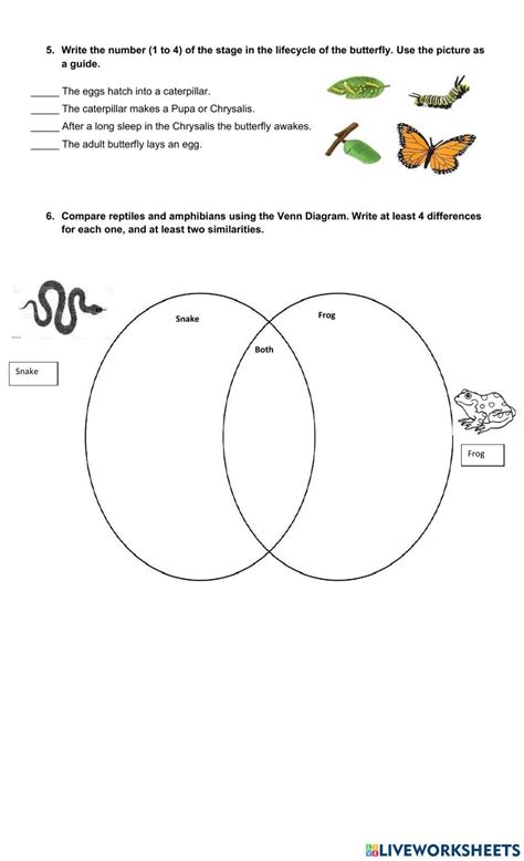 Science Exam 2nd Grade Worksheet Live Worksheets