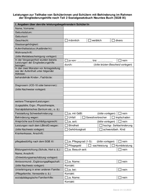 Ausfüllbar Online Formblatt Teilhabe von Schuelerinnen und Schuelern