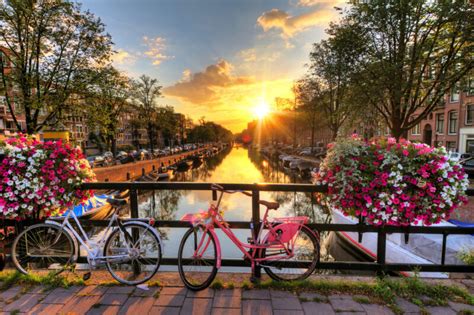 A Quick Guide For Planning a Trip to Amsterdam - DecoBizz Lifestyle Blog