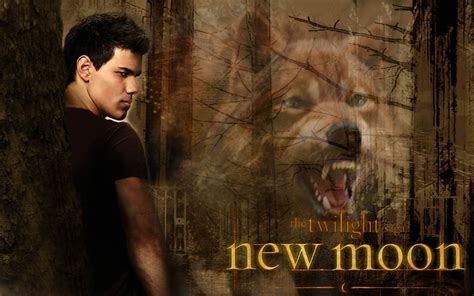 Twilight Wolf Wallpaper (70+ images)