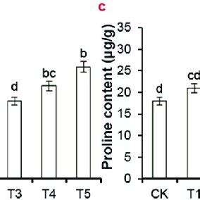 The Effects Of Different EBR Treatments On The Relative Conductivity