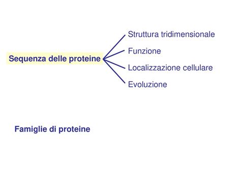 LE MACROMOLECOLE Sono Polimeri Formati Ppt Scaricare