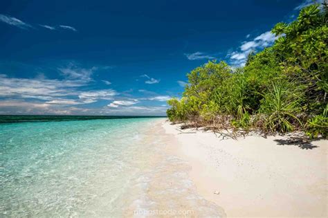 Mantigue Island Camiguin 2024 Ultimate Guide