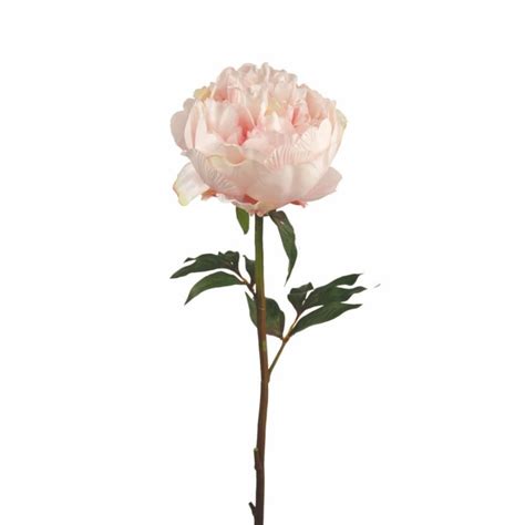 Tige de pivoine fermée artificielle rose pâle H45 Paloma Maisons du Monde