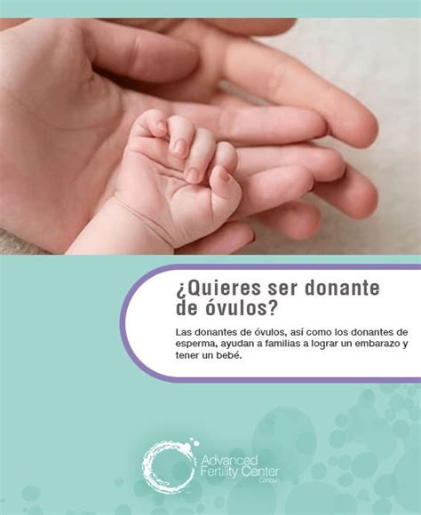 Te decimos cuáles son los requerimientos para ser donante de óvulos en