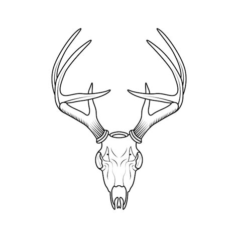 Premium Vector Deer Skull Vector Art