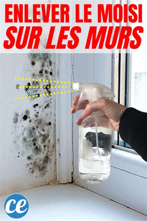 Comment Éliminer de la Moisissure Sur un Mur avec du Vinaigre Blanc