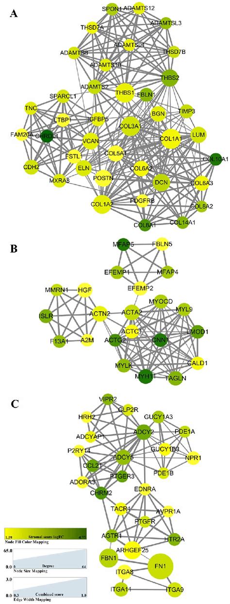 Top 3 PPI Networks Of COL1A1 ACTA2 And ADCY5 Modules The Color Of The