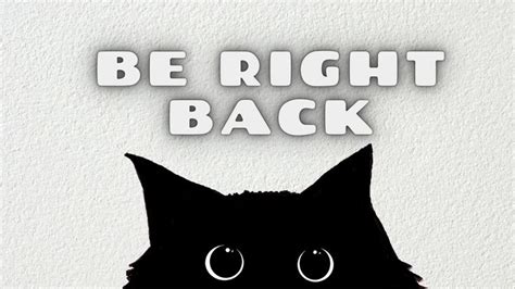 Twitch Be Right Back Screen Black Cat, Cute Cat Twitch Background ...