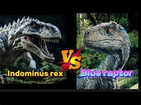 Indominus rex vs Blue raptor | blue vs Indominus rex Jurassic world ...