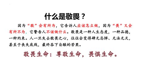 82 敬畏生命 课件（20张幻灯片）21世纪教育网 二一教育