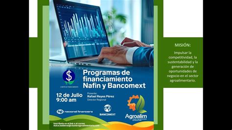 Comit Financiamiento Programas De Financiamiento Nafin Y Bancomext