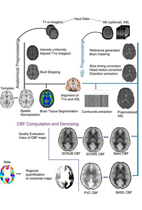 ASLPrep A Robust Preprocessing Pipeline For ASL Data Aslprep Version