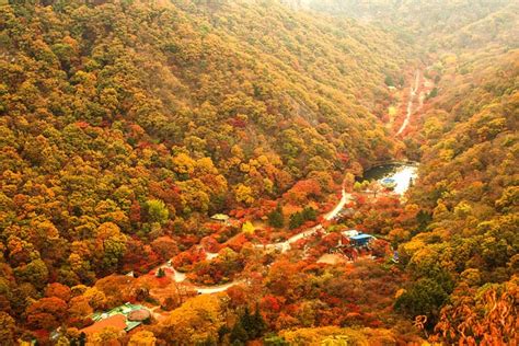 An Ultimate Guide to Autumn in Korea: Fall Foliage Forecast 2020