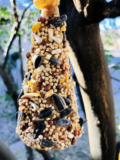 Sugar Cone Bird Feeder Mom Wife Busy Life