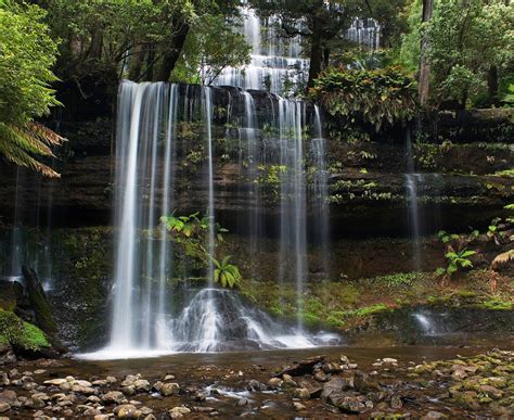 Russell Falls Tasmania Australia