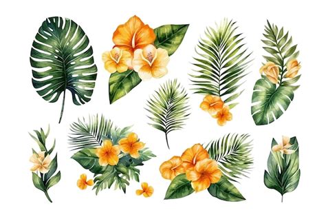 Premium Vector Palm Leaves And Flower Set Nature Botanical Decorative