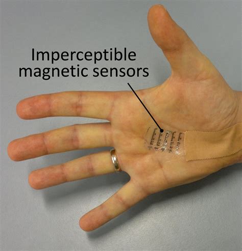 Researchers Equip Humans With Magnetic Sense