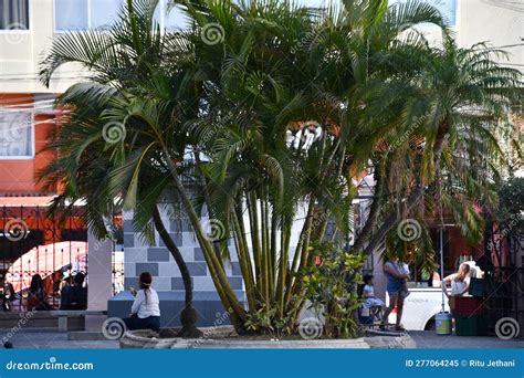 Centro Historico In Old Mazatlan Mexico Editorial Image Image Of