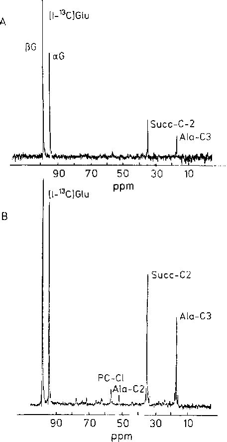 Figure From Carbon Nuclear Magnetic Resonance Analysis Of