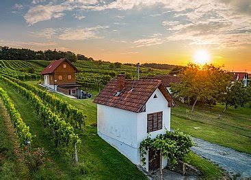 Vinaria Sterreichs Zeitschrift F R Weinkultur Jahre Eisenberg Dac