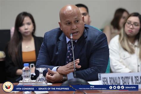 Dfa At Denr Dapat Mag Collaborate Sa Paghahain Ng Reklamo Vs Pagsira