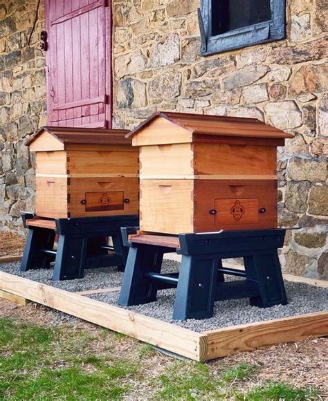 Pin by Kelly on Backyard Bees | Backyard bee, Bee hives boxes, Bee hive ...