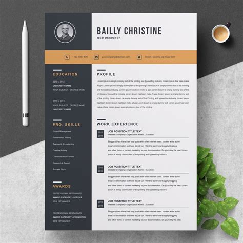 Professional And Creative Resume Templates For Every Field In