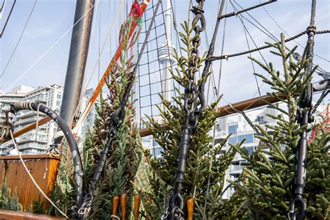 Toronto just got a floating Christmas tree market in Lake Ontario