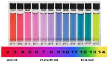 Red Cabbage Indicator Ph Scale