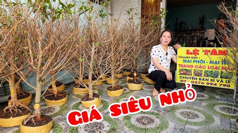 Lệ Tâm O37699479O Mai Giảo Thủ Đức 19 3 Chợ Gạo người miền tây