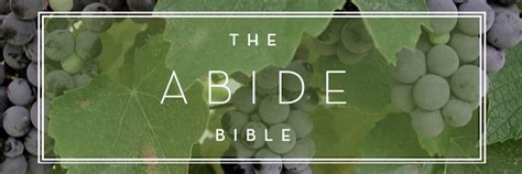 The Abide Bible - Thomas Nelson Bibles | John 15:4