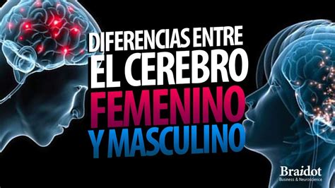 Diferencias Entre El Cerebro Femenino Y Masculino Youtube