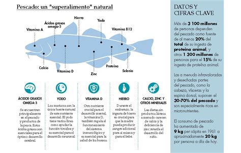 Pescado Superalimento Propiedades Nutriciaonales Pescado Asturpesca