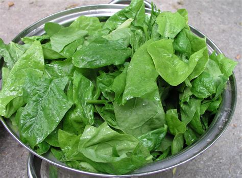 Eʼelyaaígííspinach Leaves Wikiibíídiiya