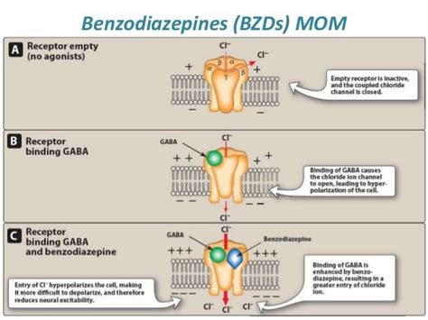 Benzodiazepine New