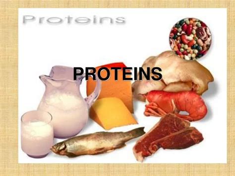 Ppt Proteins Powerpoint Presentation Free Download Id6898789