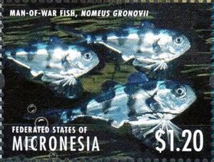 Stamp Man Of War Fish Nomeus Gronovii Micronesia Federated States