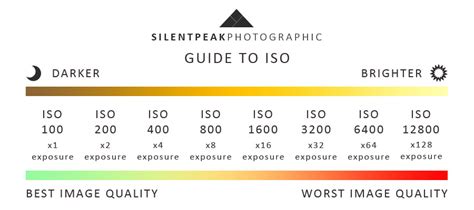 What Is Camera Iso In Photography • Silent Peak Photo