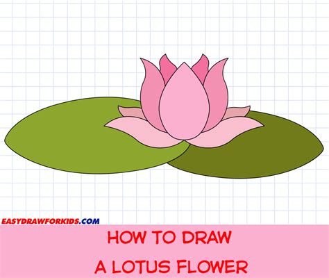 How To Draw A Lotus Flower 2 Ways With Pictures