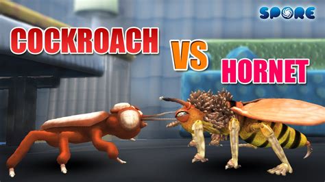 Cockroach Vs Hornet Insect Face Off S E Spore Youtube