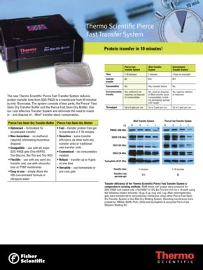 Fillable Online Thermo Scientific Pierce Fax Email Print Pdffiller