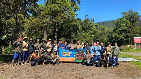 Pelepas Liaran Kukang Jawa Di Gunung Papandayan Garut Upaya