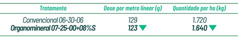 Plantação de batata maximize seus resultados os organominerais