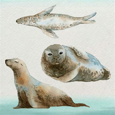 Watercolor painted seal in watercolor | Premium PSD - rawpixel