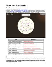 Virtual Lab Gram Staining Docx Virtual Lab Gram Staining Procedure