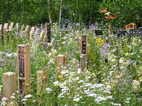 Create Your Own Wildlife Garden